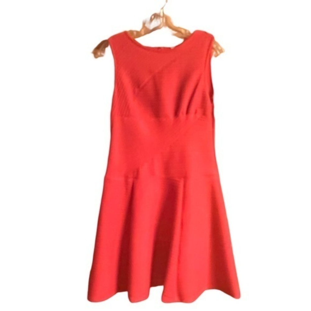 Petite Sandra Darren Red Fit and Flare Dress 6P